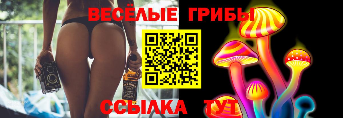 наркошоп  Вход с VPN  Элиста  Псилоцибиновые грибы Psilocybine cubensis 